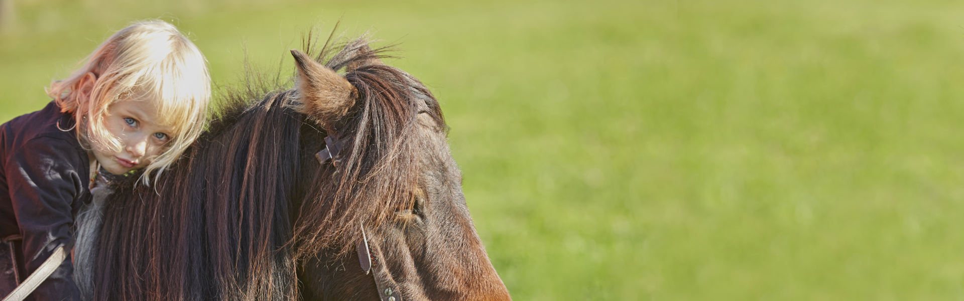 Pegasus Jugendhilfe